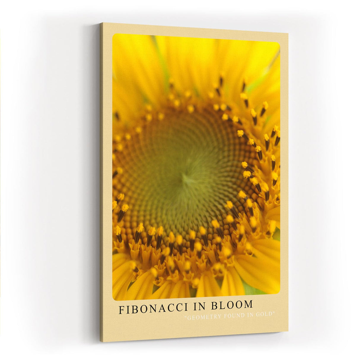 Paul Sinus Kunstdruck 40x60cm Fibonacci in Bloom Sonnenblume Makro Gelb Natur Geometrie Bruchstruktur