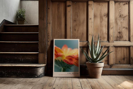 Paul Sinus Kunstdruck 40x60cm Fire Bloom – Blüte im Licht des Morgens mit funkelnden Tautropfen