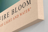 Paul Sinus Kunstdruck 40x60cm Fire Bloom – Blüte im Licht des Morgens mit funkelnden Tautropfen