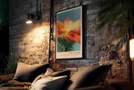 Paul Sinus Kunstdruck 40x60cm Fire Bloom – Blüte im Licht des Morgens mit funkelnden Tautropfen