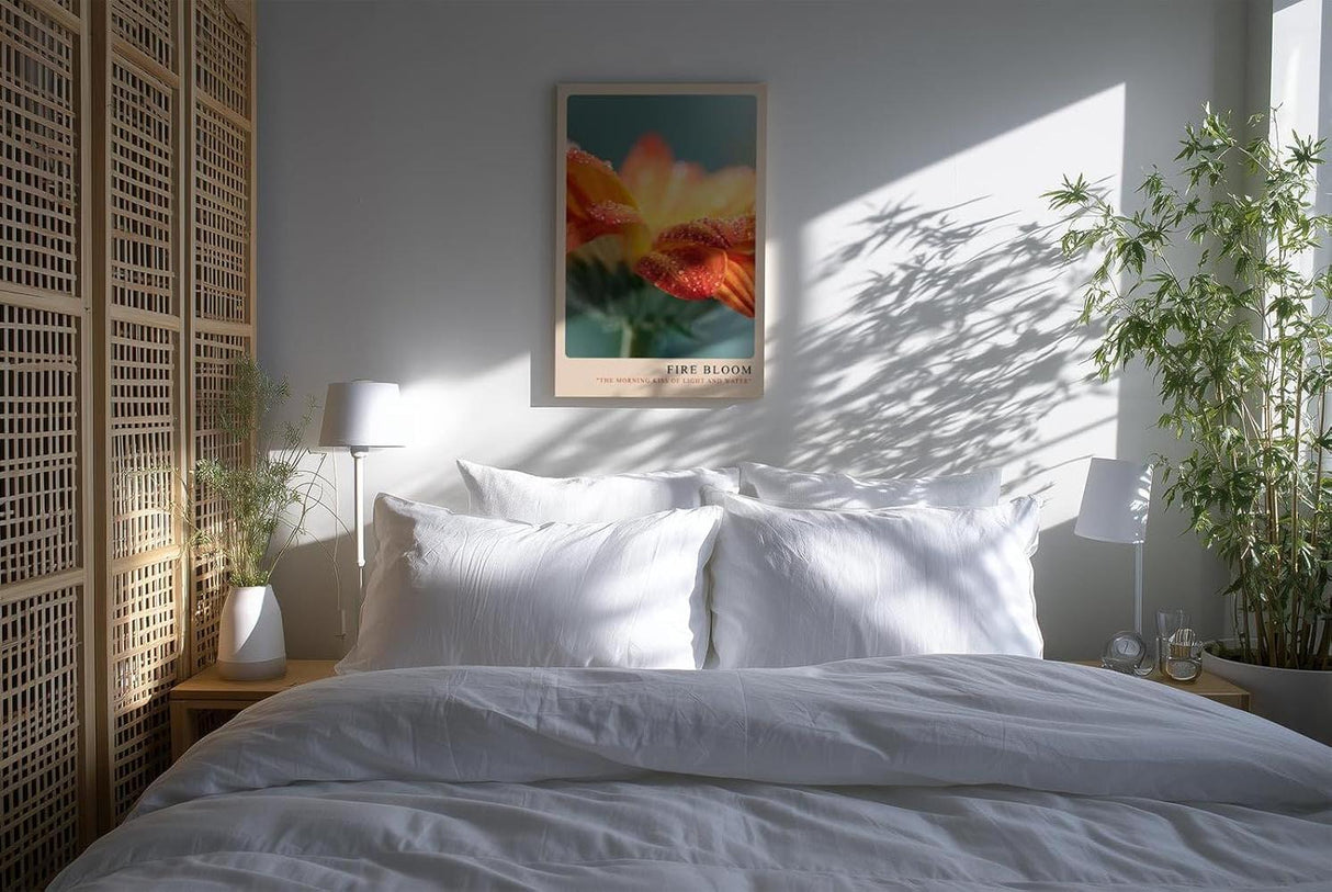 Paul Sinus Kunstdruck 40x60cm Fire Bloom – Blüte im Licht des Morgens mit funkelnden Tautropfen