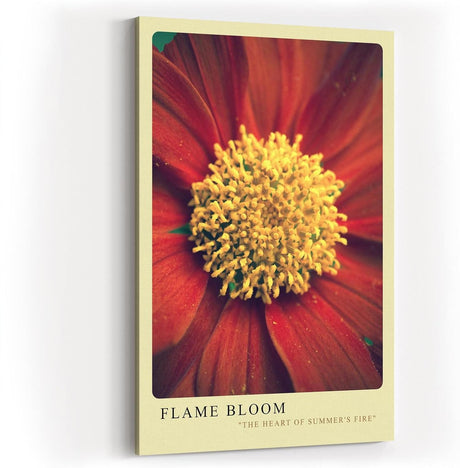 Paul Sinus Kunstdruck 40x60cm Flame Bloom – Sommerliche Blütenkraft in Nahaufnahme