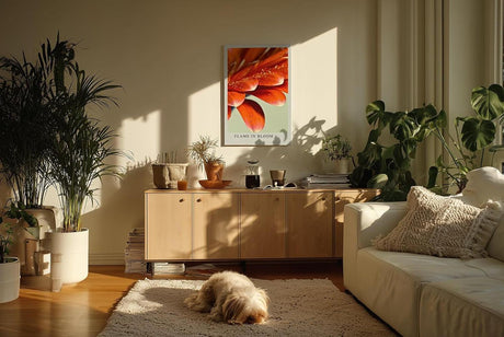 Paul Sinus Kunstdruck 40x60cm Flame in Bloom – rote Blütenblätter mit Tautropfen in leuchtender Nahaufnahme