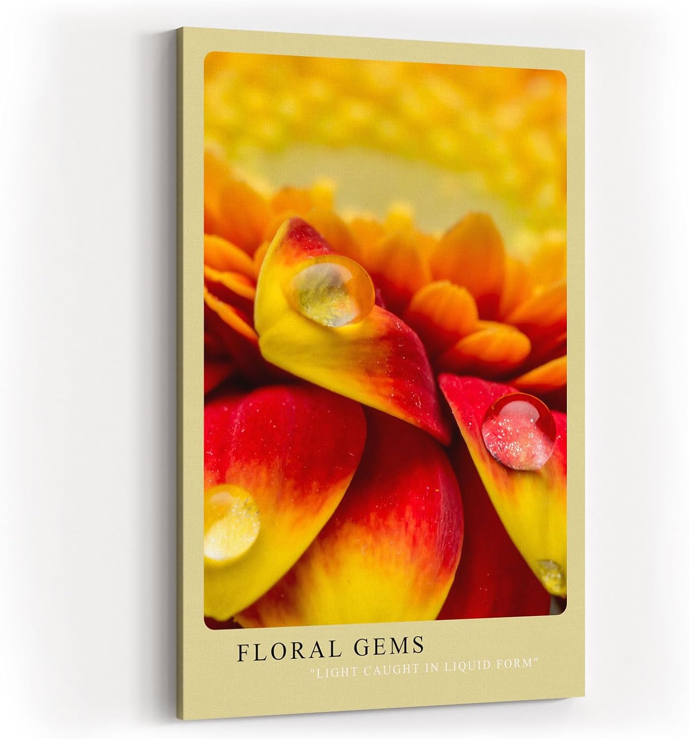 Paul Sinus Kunstdruck 40x60cm Floral Gems Nahaufnahme von Blütenblättern mit Tautropfen in leuchtenden Farben