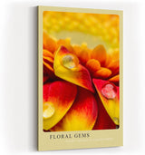 Paul Sinus Kunstdruck 40x60cm Floral Gems Nahaufnahme von Blütenblättern mit Tautropfen in leuchtenden Farben