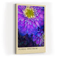 Paul Sinus Kunstdruck 40x60cm Floral Spectrum Violette Blumen in kräftigem Farbspiel Petals Dipped in Cosmic Color
