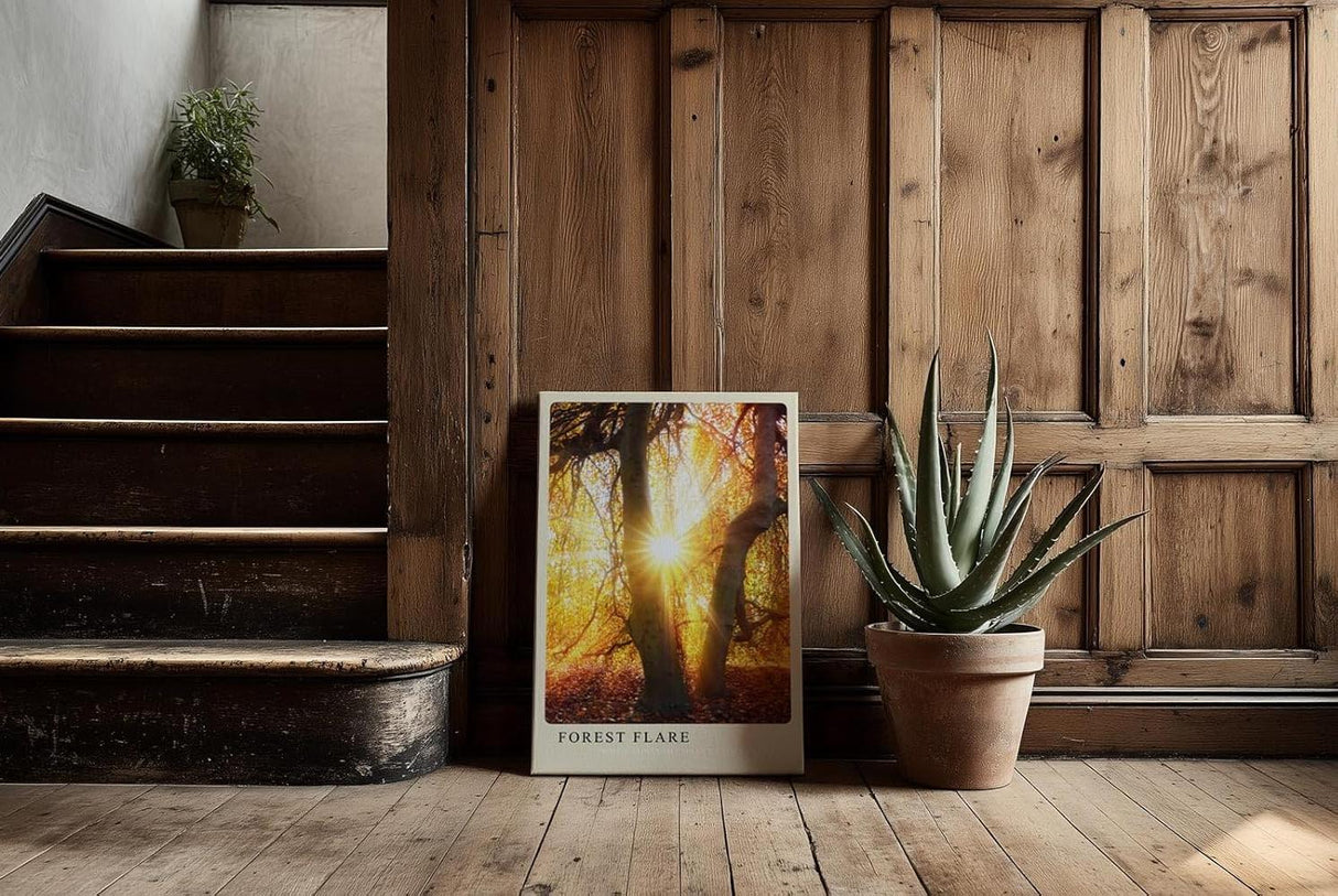 Paul Sinus Kunstdruck 40x60cm Forest Flare – Sonnenstrahlen im goldenen Herbstwald mit leuchtendem Laub