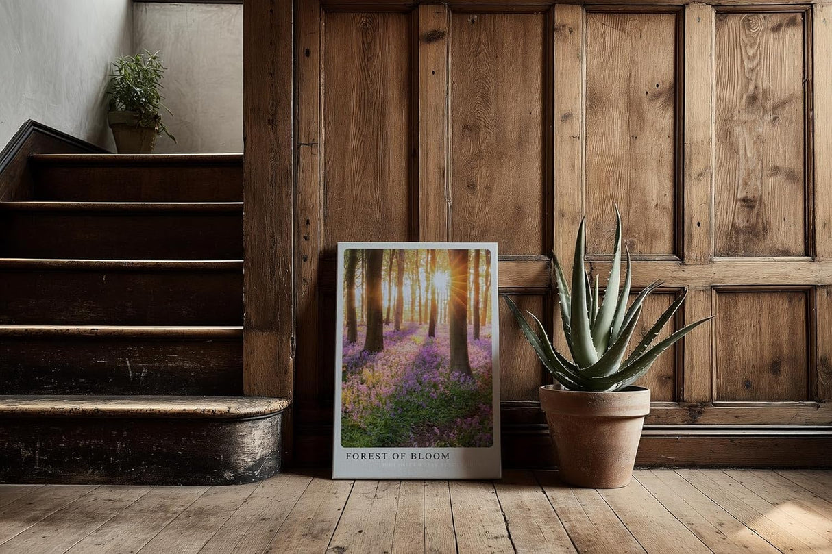 Paul Sinus Kunstdruck 40x60cm Forest of Bloom mit lila Blütenteppich und Sonnenstrahlen im Wald