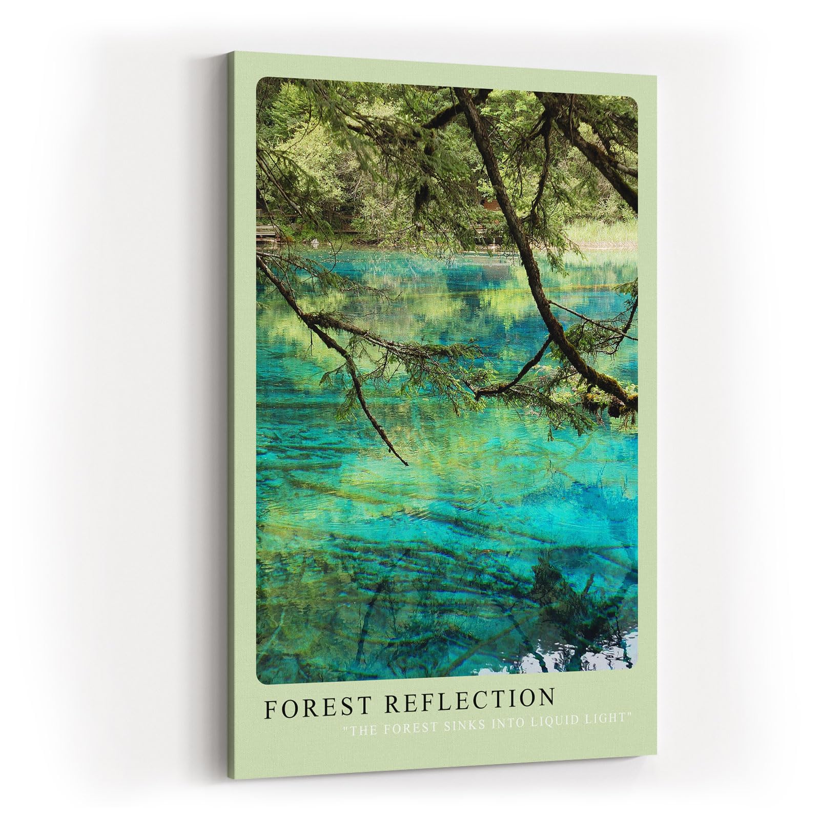 Paul Sinus Kunstdruck 40x60cm Forest Reflection Baumspiegelung im klaren Wasser mit türkisgrünem Schimmer