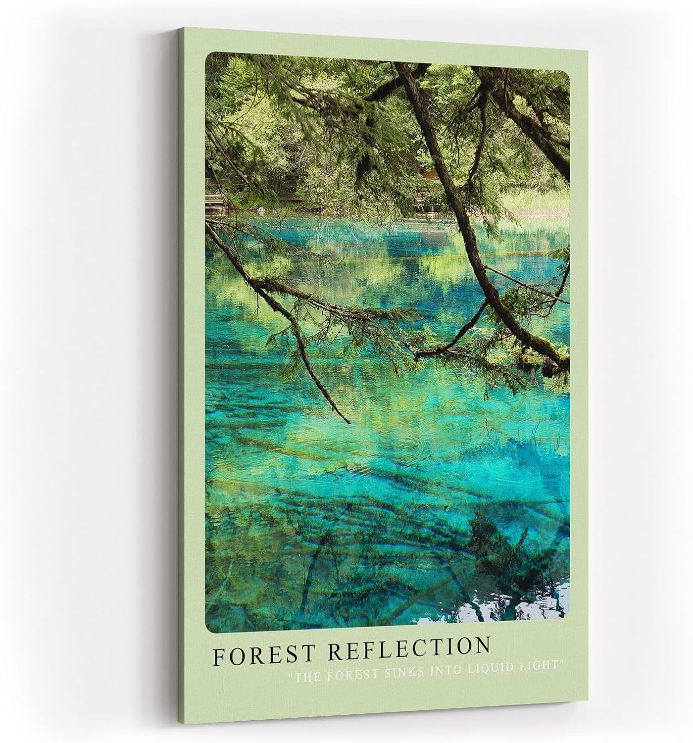 Paul Sinus Kunstdruck 40x60cm Forest Reflection Baumspiegelung im klaren Wasser mit türkisgrünem Schimmer