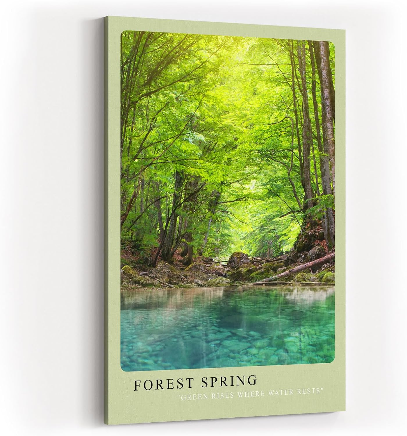 Paul Sinus Kunstdruck 40x60cm Forest Spring klarer Waldquell unter grünem Blätterdach in natürlichem Licht