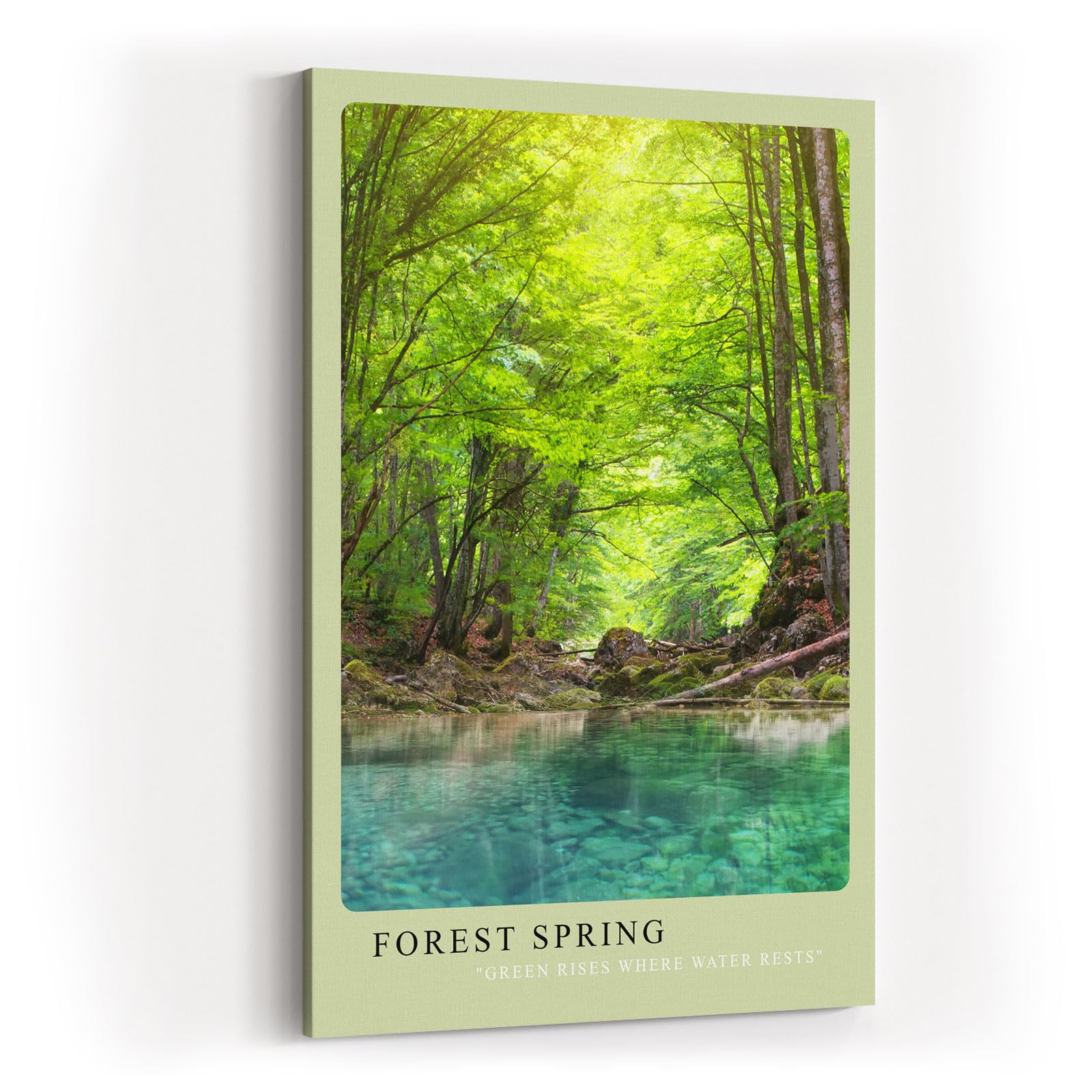 Paul Sinus Kunstdruck 40x60cm Forest Spring klarer Waldquell unter grünem Blätterdach in natürlichem Licht