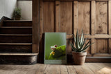 Paul Sinus Kunstdruck 40x60cm Frosch Natur Dschungel Tierkunst grün witzig Little Guardian
