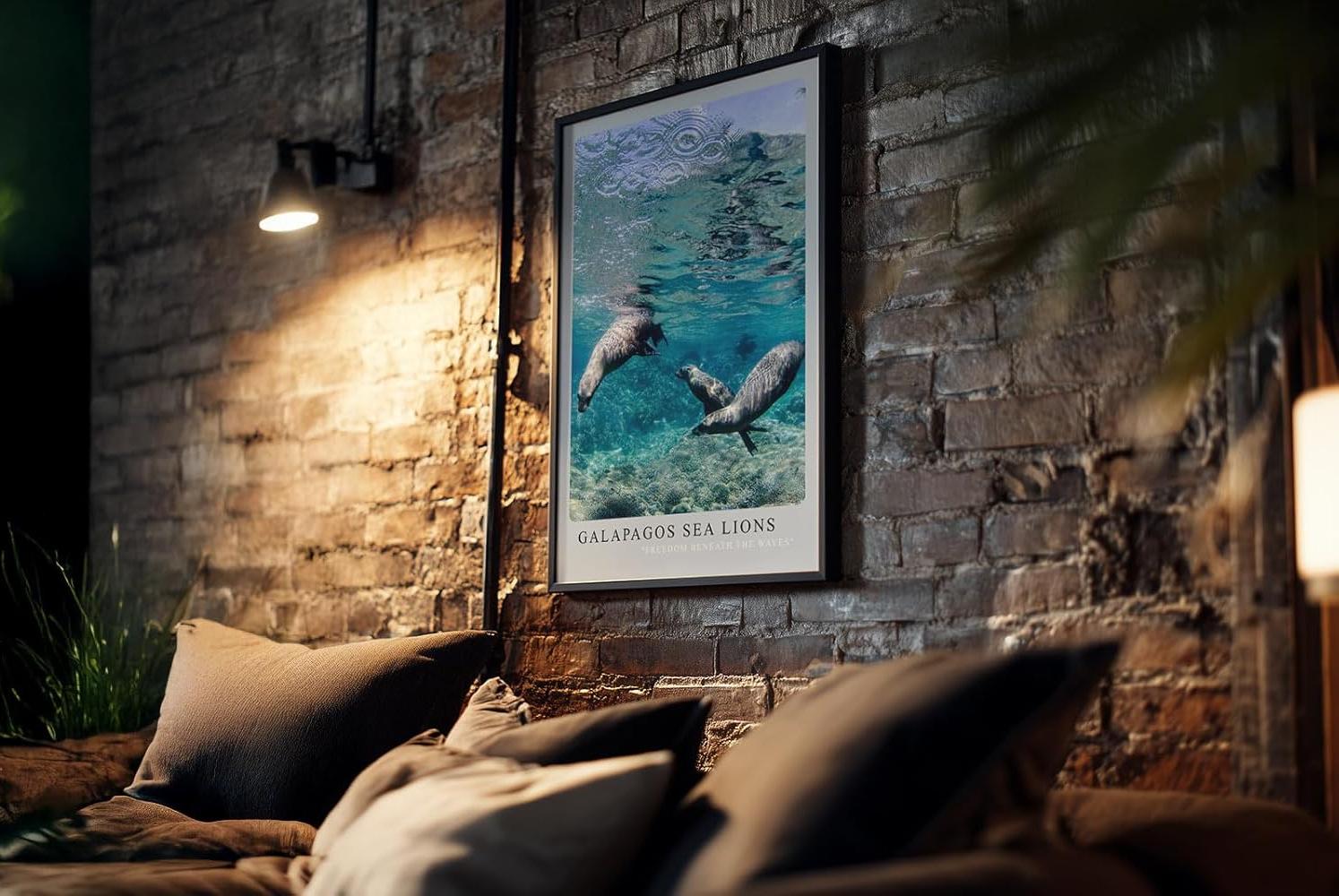 Paul Sinus Kunstdruck 40x60cm Galapagos Sea Lions – Verspielte Seelöwen unter Wasser in tropischem Blau