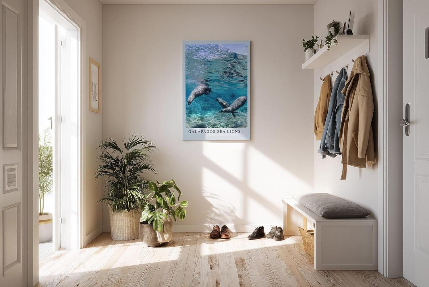 Paul Sinus Kunstdruck 40x60cm Galapagos Sea Lions – Verspielte Seelöwen unter Wasser in tropischem Blau