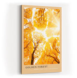 Paul Sinus Kunstdruck 40x60cm Golden Forest – herbstlicher Laubwald im goldenen Sonnenlicht