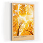 Paul Sinus Kunstdruck 40x60cm Golden Forest – herbstlicher Laubwald im goldenen Sonnenlicht