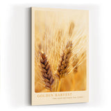 Paul Sinus Kunstdruck 40x60cm Golden Harvest – reife Ähren im Sommerlicht als Hommage an Natur und Fülle