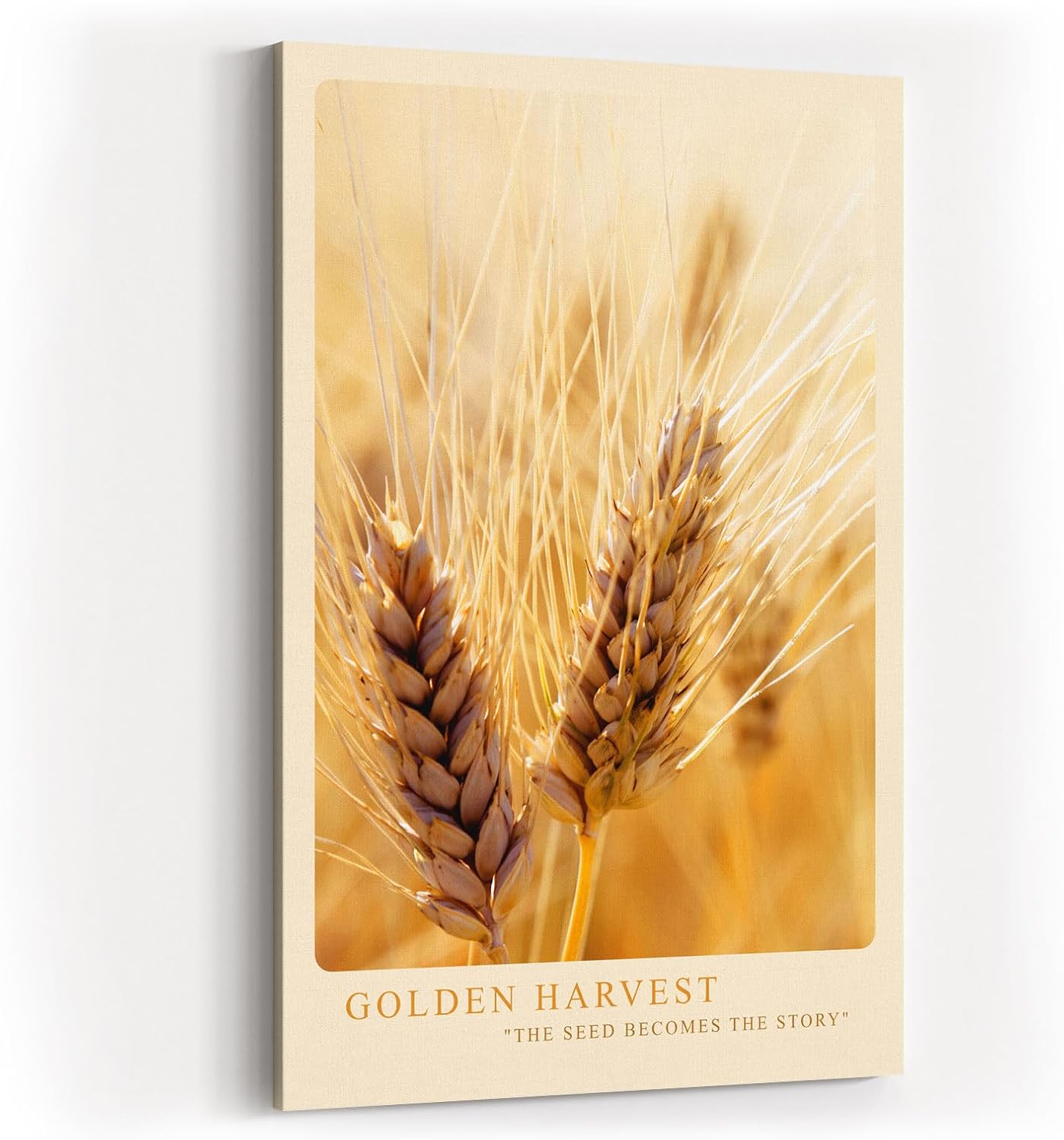 Paul Sinus Kunstdruck 40x60cm Golden Harvest – reife Ähren im Sommerlicht als Hommage an Natur und Fülle
