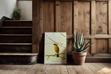 Paul Sinus Kunstdruck 40x60cm Golden Perch mit gelbem Singvogel auf Ast vor hellem Hintergrund