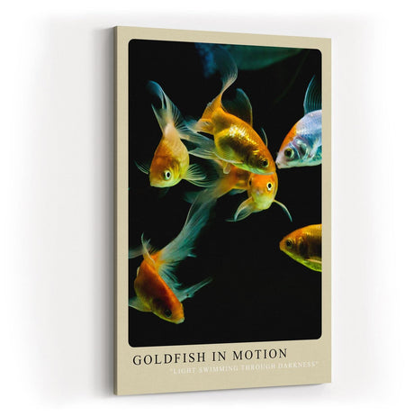 Paul Sinus Kunstdruck 40x60cm Goldfish in Motion – Elegante Goldfische in lebendiger Bewegung auf schwarzem Grund