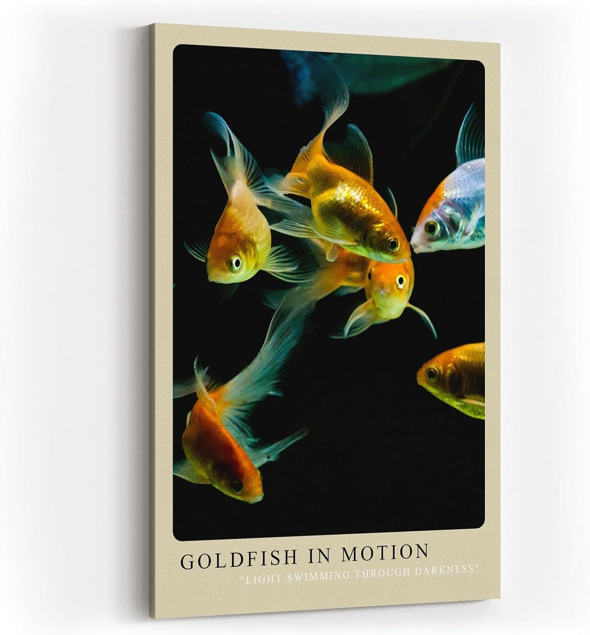 Paul Sinus Kunstdruck 40x60cm Goldfish in Motion – Elegante Goldfische in lebendiger Bewegung auf schwarzem Grund