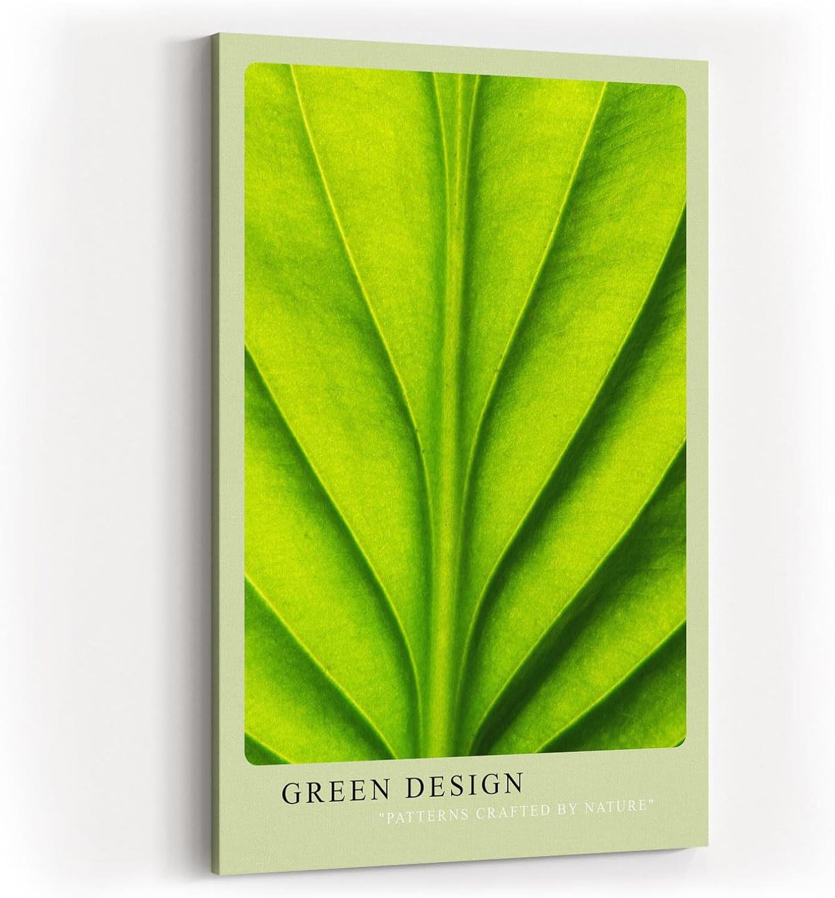 Paul Sinus Kunstdruck 40x60cm Green Design mit Makroaufnahme eines grünen Blattes