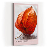 Paul Sinus Kunstdruck 40x60cm Hidden Fruit – Physalis in Nahaufnahme mit natürlicher Struktur und Farbspiel