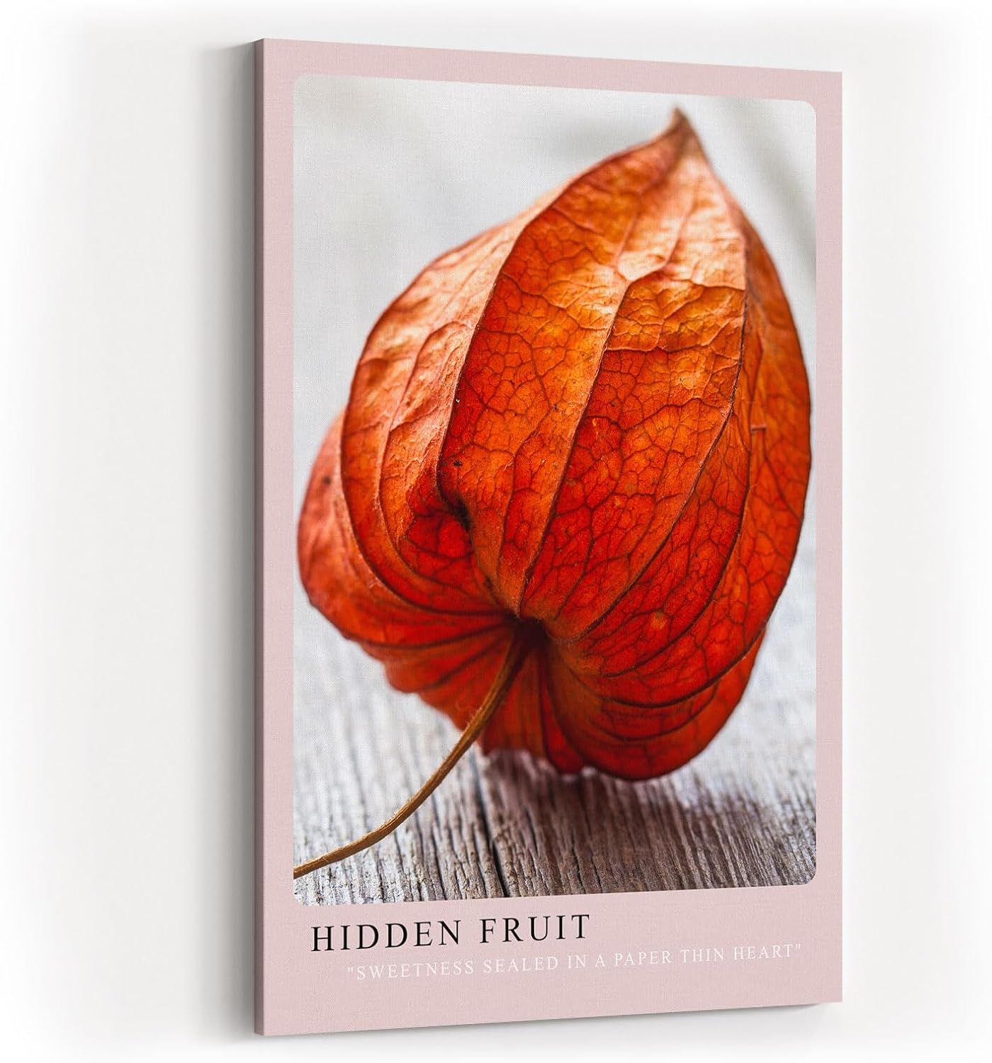 Paul Sinus Kunstdruck 40x60cm Hidden Fruit – Physalis in Nahaufnahme mit natürlicher Struktur und Farbspiel