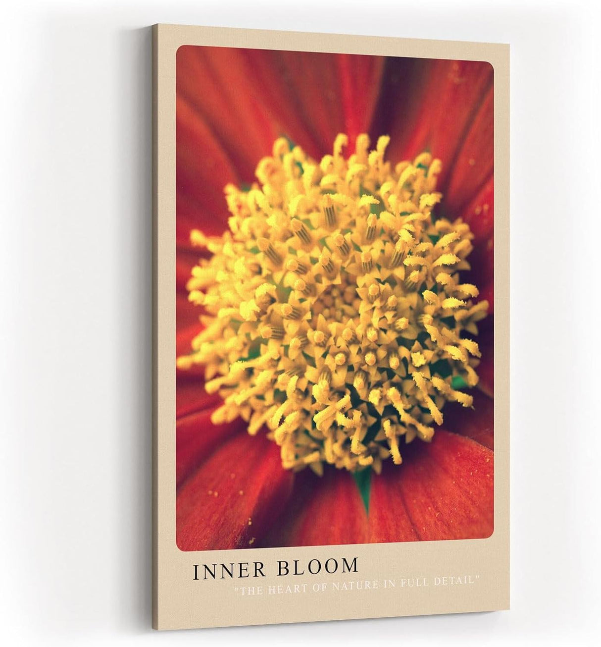 Paul Sinus Kunstdruck 40x60cm Inner Bloom mit Nahaufnahme einer farbintensiven Blüte