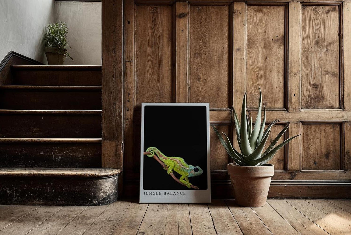 Paul Sinus Kunstdruck 40x60cm Jungle Balance mit Chamäleon auf Ast vor schwarzem Hintergrund