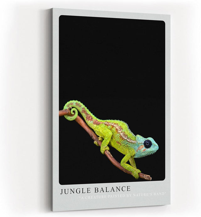 Paul Sinus Kunstdruck 40x60cm Jungle Balance mit Chamäleon auf Ast vor schwarzem Hintergrund