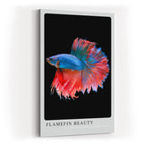Paul Sinus Kunstdruck 40x60cm Kampffisch mit flammenden Flossen – Farben in perfekter Bewegung eingefangen