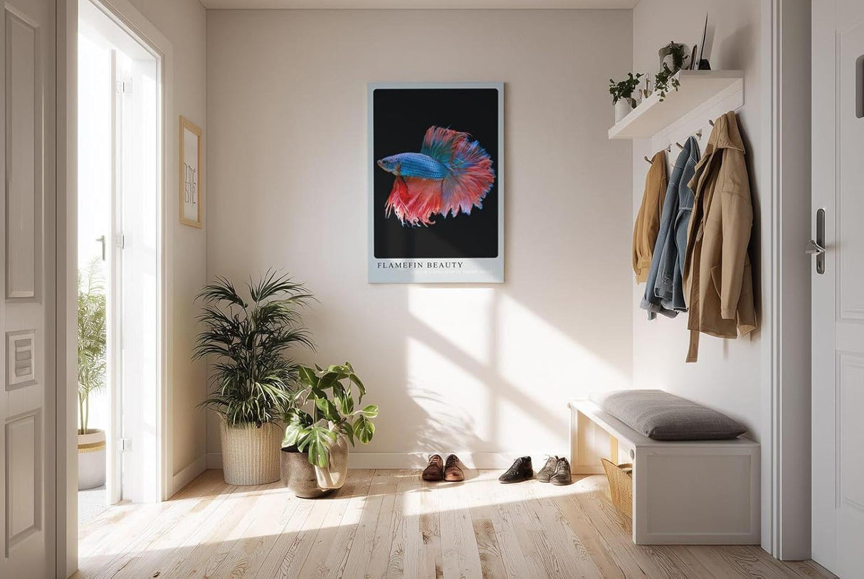 Paul Sinus Kunstdruck 40x60cm Kampffisch mit flammenden Flossen – Farben in perfekter Bewegung eingefangen