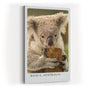 Paul Sinus Kunstdruck 40x60cm Koala Australia – Sanfter Koala in Nahaufnahme als Symbol für Ruhe und Naturverbundenheit