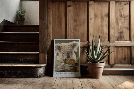 Paul Sinus Kunstdruck 40x60cm Koala Australia – Sanfter Koala in Nahaufnahme als Symbol für Ruhe und Naturverbundenheit