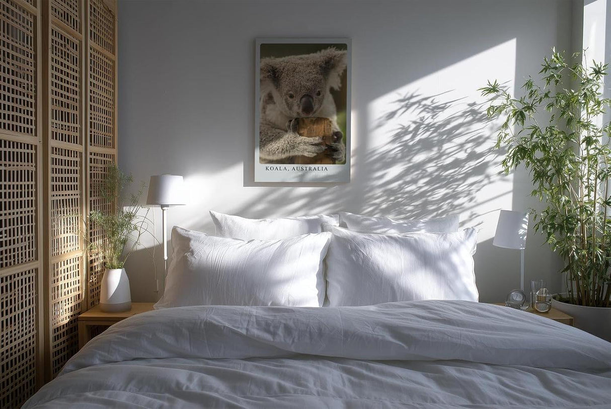 Paul Sinus Kunstdruck 40x60cm Koala Australia – Sanfter Koala in Nahaufnahme als Symbol für Ruhe und Naturverbundenheit