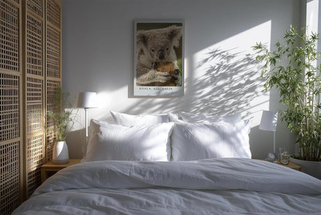 Paul Sinus Kunstdruck 40x60cm Koala Australia – Sanfter Koala in Nahaufnahme als Symbol für Ruhe und Naturverbundenheit