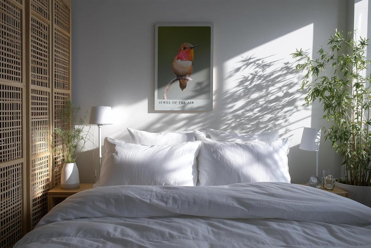 Paul Sinus Kunstdruck 40x60cm Kolibri mit schimmerndem Gefieder – Lichtspiel auf zarten Federn in Perfektion