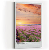 Paul Sinus Kunstdruck 40x60cm Lavendelfeld Provence Frankreich Sonnenuntergang Natur Provence France