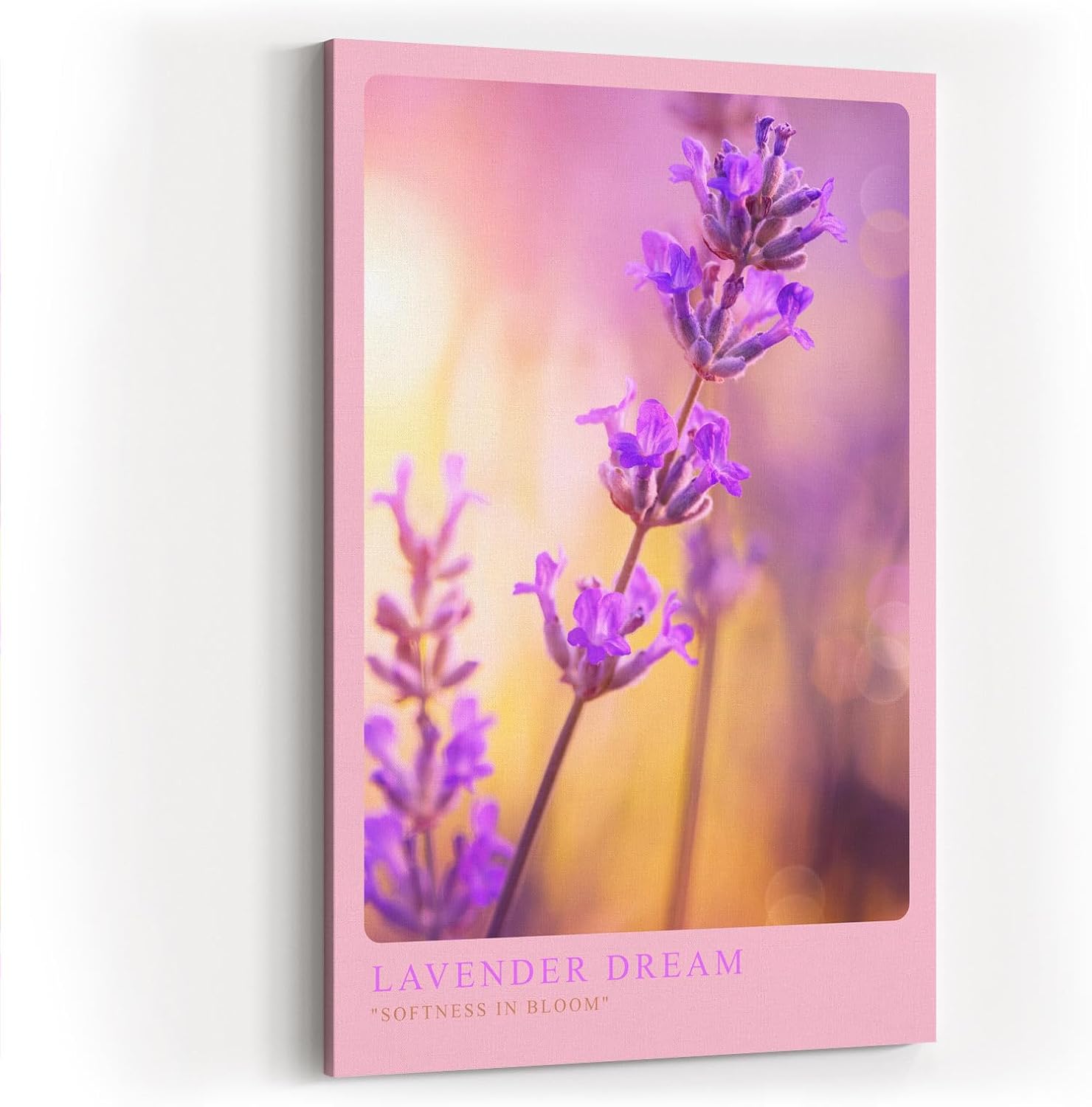 Paul Sinus Kunstdruck 40x60cm Lavender Dream Lavendelblüte in zarten Farben mit weichem Licht und Bokeh