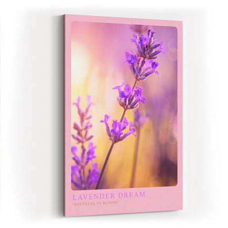 Paul Sinus Kunstdruck 40x60cm Lavender Dream Lavendelblüte in zarten Farben mit weichem Licht und Bokeh