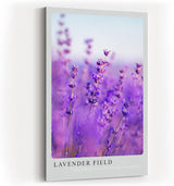 Paul Sinus Kunstdruck 40x60cm Lavender Field – Nahaufnahme blühender Lavendelzweige im Sommerlicht