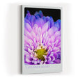 Paul Sinus Kunstdruck 40x60cm Lavender Heart Nahaufnahme violetter Blüte Where Light Meets Lush Detail