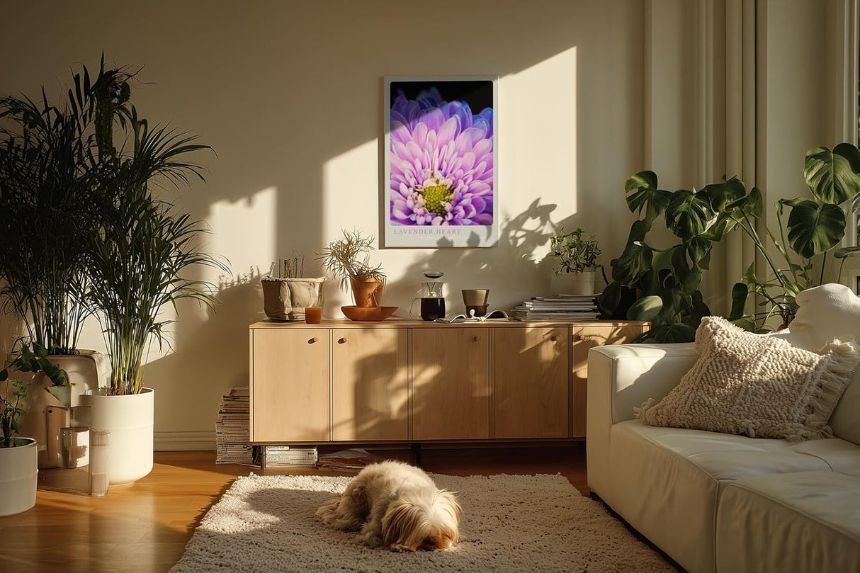 Paul Sinus Kunstdruck 40x60cm Lavender Heart Nahaufnahme violetter Blüte Where Light Meets Lush Detail