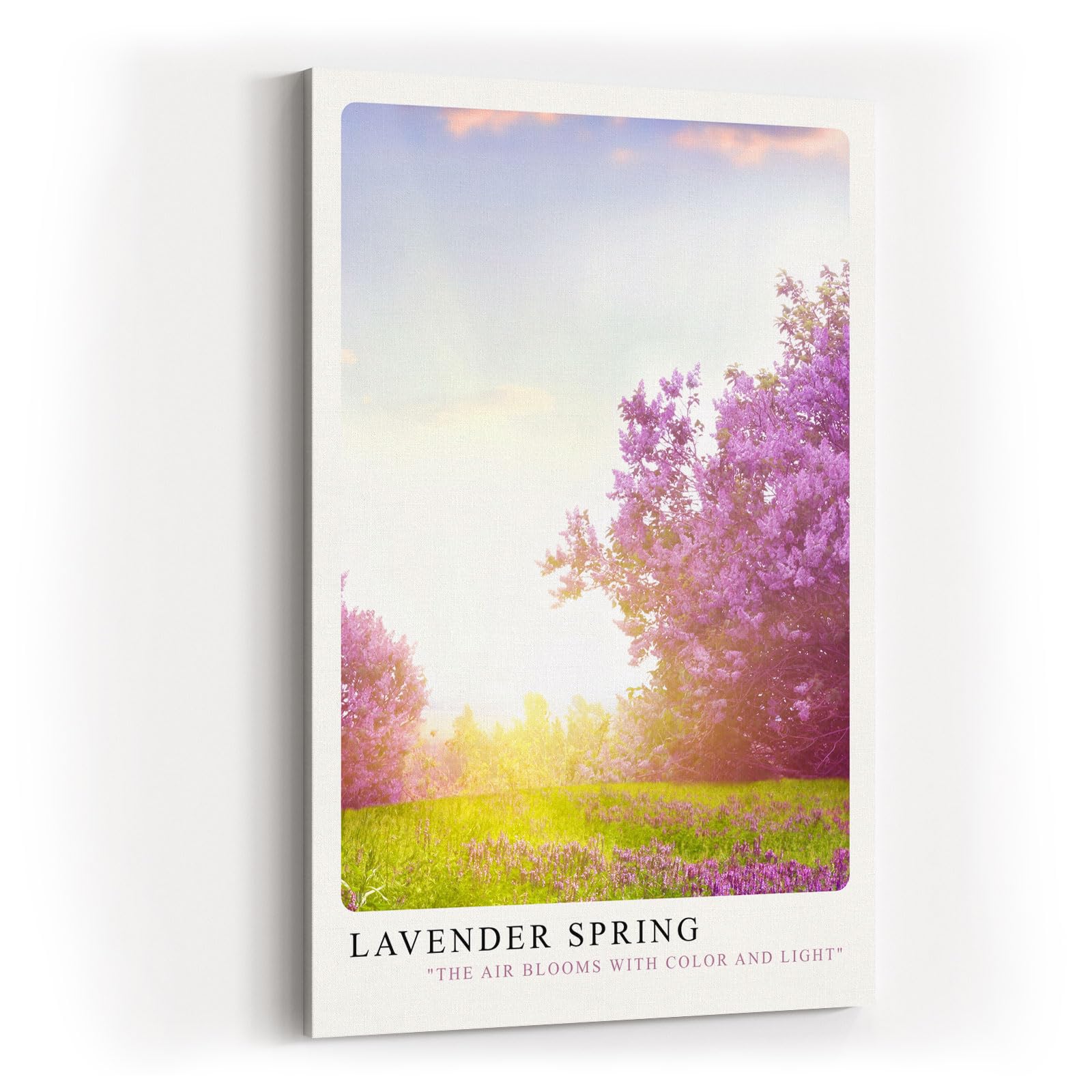 Paul Sinus Kunstdruck 40x60cm Lavender Spring – blühender Flieder in zartem Licht des Frühlingsmorgens