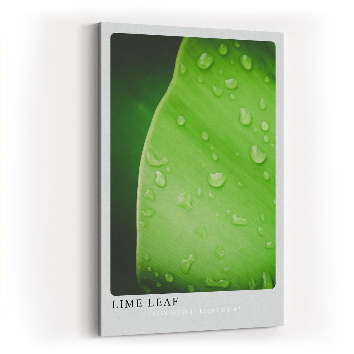 Paul Sinus Kunstdruck 40x60cm Lime Leaf Tropfen Blatt Grün Natur Makro Minimalismus