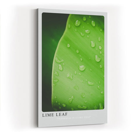 Paul Sinus Kunstdruck 40x60cm Lime Leaf Tropfen Blatt Grün Natur Makro Minimalismus