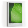 Paul Sinus Kunstdruck 40x60cm Lime Leaf Tropfen Blatt Grün Natur Makro Minimalismus