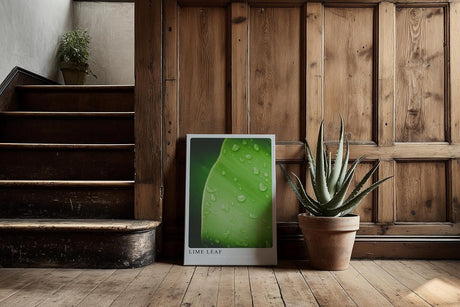 Paul Sinus Kunstdruck 40x60cm Lime Leaf Tropfen Blatt Grün Natur Makro Minimalismus